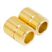 A close-up of two brass threaded plugs.
