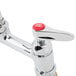 A T&S chrome deck-mounted faucet with lever handles and a red button on the side.