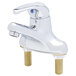 A chrome T&S single lever faucet with gold screws on white background.