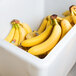 A white Cambro food storage container filled with bananas.