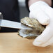 A person in gloves using a Winco Galveston Pro-Grip Oyster Opener Knife to open an oyster.