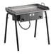 A Backyard Pro double burner outdoor range with a griddle plate on a table.