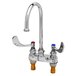 A T&S chrome medical faucet with swivel gooseneck nozzle and wrist handles.