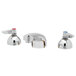 A T&S chrome widespread medical faucet with lever handles.