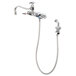 A T&S chrome wall mount faucet with a side spray hose.