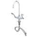 A chrome T&S deck-mounted pantry faucet with gooseneck nozzle and wrist handles, with a hose attached.