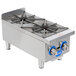 A Globe stainless steel countertop gas hot plate with two burners.