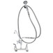 A silver T&S wall mount pet grooming faucet with lever handles and a hose attachment.