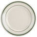 A white plate with green lines on the edge.