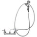 A T&S wall mounted pet grooming faucet with hoses and angled spray valve.
