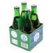 A case of 6 Boylan Bottling Co. Ginger Ale bottles in a green box.