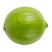 A close up of a lime on a white background.