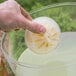 A hand holding a round fruit infuser ball with lemons inside over a plastic cup.