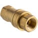 A brass Regency quick disconnect fitting with a nut.