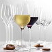 A group of Stolzle Exquisit Royal wine glasses on a white background.