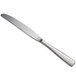 A Oneida Tidal stainless steel table knife with a long silver handle.