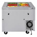 A Turbo Air refrigerated buffet display table with food trays of vegetables and fruits.