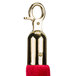 A red velvet rope with gold hooks.