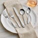 Acopa Monaca stainless steel flatware set on a white plate with silverware.