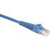 A close-up of a blue Tripp Lite Cat6 Ethernet cable with a white background.