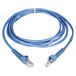 A close-up of a blue Tripp Lite Cat6 Ethernet cable with two connectors.