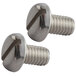 A pair of stainless steel screws on a white background.