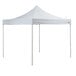 A white Backyard Pro canopy tent with two poles.