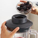 A person pouring blackberries into an AvaMix commercial blender.