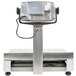 A Tor Rey waterproof digital receiving bench scale with a tower display on a metal stand.