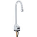 A T&S chrome medical faucet with a rigid gooseneck spout and hose attachment.