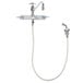 A T&S stainless steel wall mount faucet with a hose attachment.