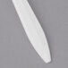 A close up of a white Dart plastic soup spoon.