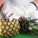 A person wearing a San Jamar D-Shield cut-resistant glove using a knife to cut a pineapple.