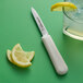 A Dexter-Russell Sani-Safe Paring Knife next to lemon slices on a green surface.