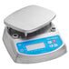 An AvaWeigh waterproof digital portion scale with a grey and white design and a blue screen.