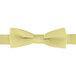 A yellow poly-satin Henry Segal bow tie with an adjustable band.