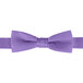 A purple Henry Segal adjustable band bow tie.