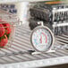 An AvaTemp refrigerator/freezer thermometer sitting on a shelf.