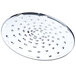 A stainless steel Globe 3/16" Shredder Plate with holes in it.