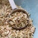 A spoon full of Regal fennel seeds.