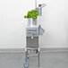 A Robot Coupe CL55 food processor with a green lettuce plant on top.
