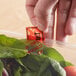 A hand holding a TamperSafe red plastic label on a plastic container of salad.