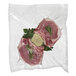 A piece of meat with garlic and herbs in a Hamilton Beach vacuum seal pouch.