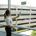 A woman using an Unger indoor window cleaning kit to clean a window.