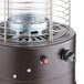 A Backyard Pro bronze portable patio heater with a glass tube.