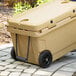 A large tan CaterGator outdoor cooler on wheels.