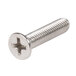 A close-up of a screw from an Equip by T&S SV-RK Repair Kit.