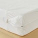 A Bargoose white vinyl mattress cover with a zipper.