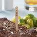 TreeVive by EcoChoice compostable wooden "rare" meat marker on a steak.