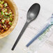 A bowl of food next to an EcoChoice black CPLA spoon.
